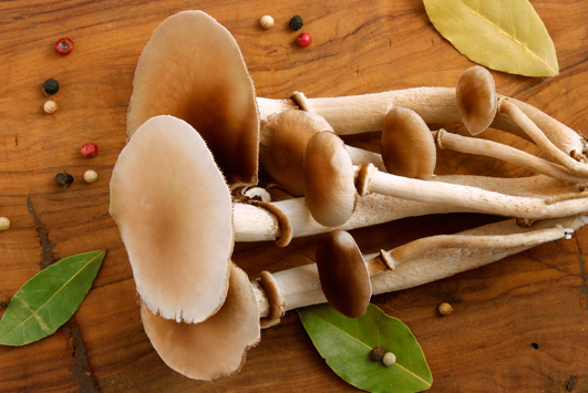 fotografia gastronomica